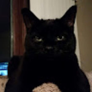 Meet your Posher, Dawn